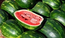 新乐吃瓜视频免费观看大全,一网打尽热门瓜料，畅享娱乐盛宴